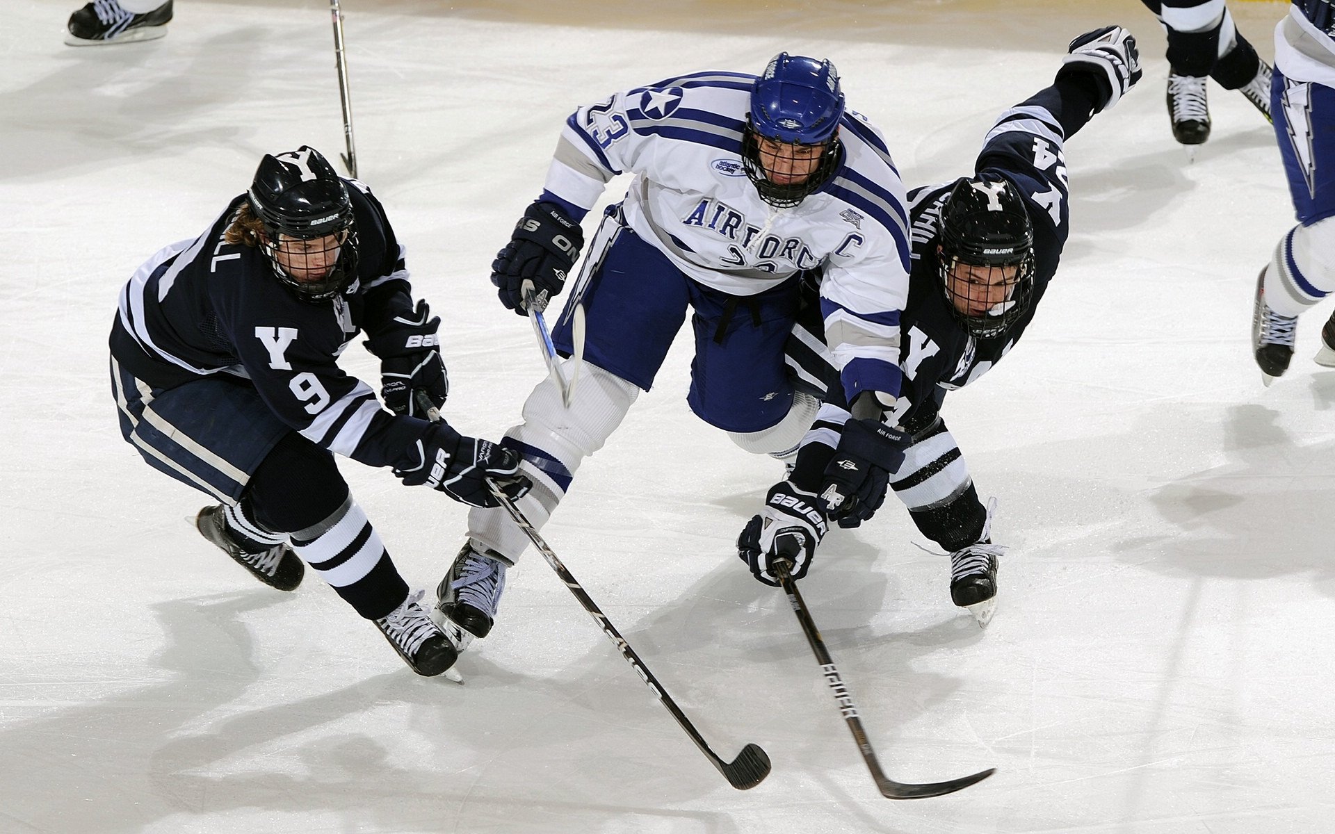 东西部冠军谁主沉浮,2020东西部冠军